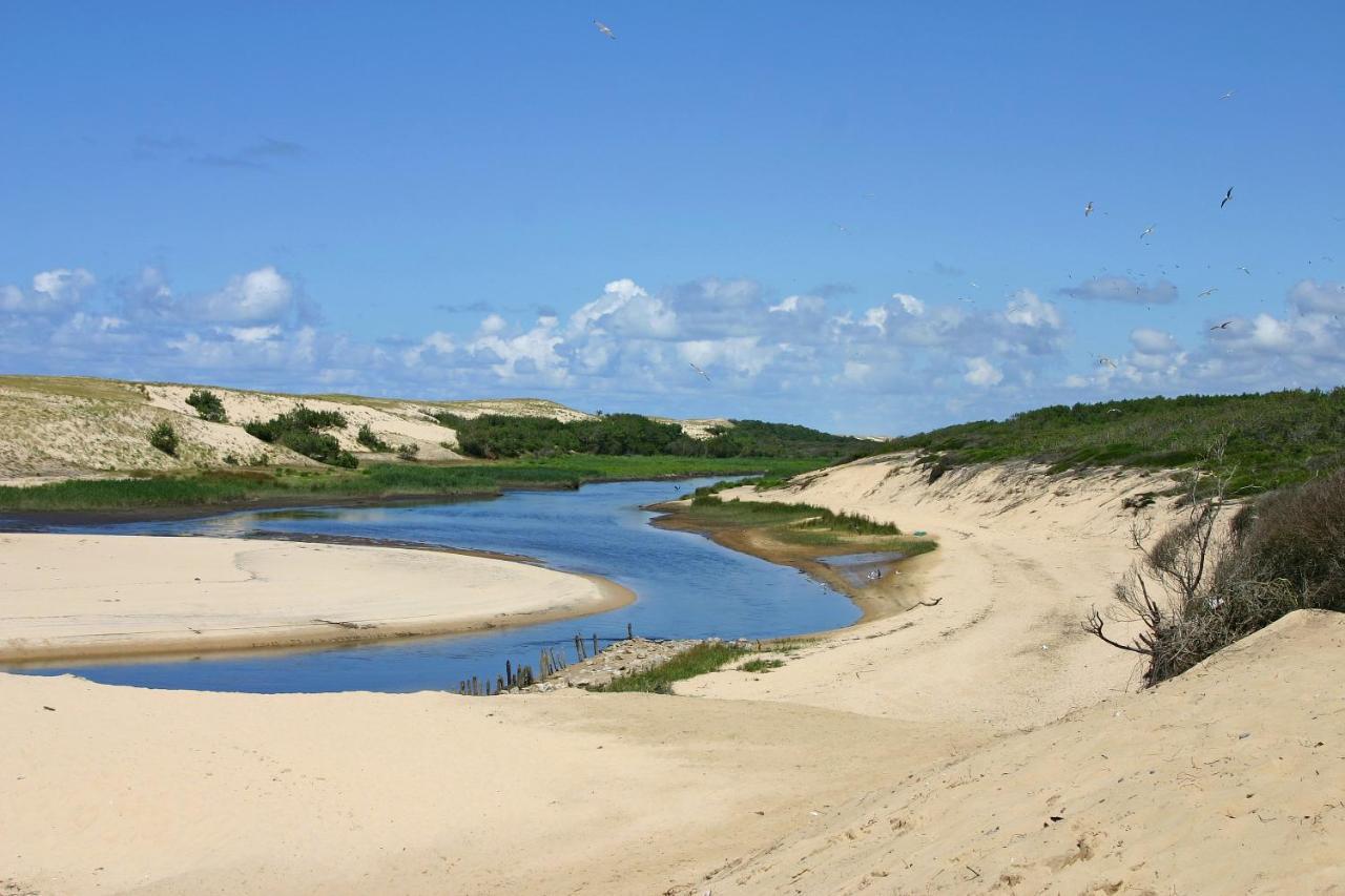 Le Boucalais, Classe 3 Etoiles, Appart T3, Lac A 200M, Ocean A 800M A Vieux-Boucau 外观 照片